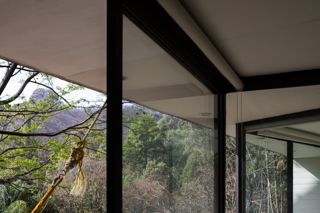 view-of-mountains-and-forest--through-zig-zagging-glazing