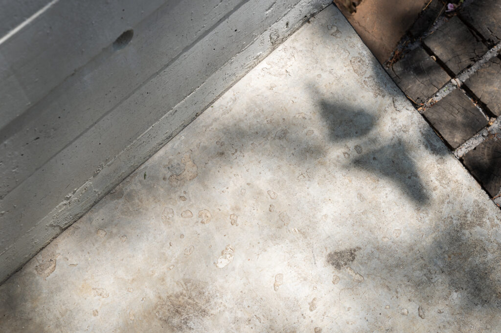 exposed-concrete-floor-with-shadows-of-plants